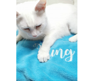 Stickdatei - King mit Krone in 2 Varianten